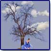 clouds, tree, dancer